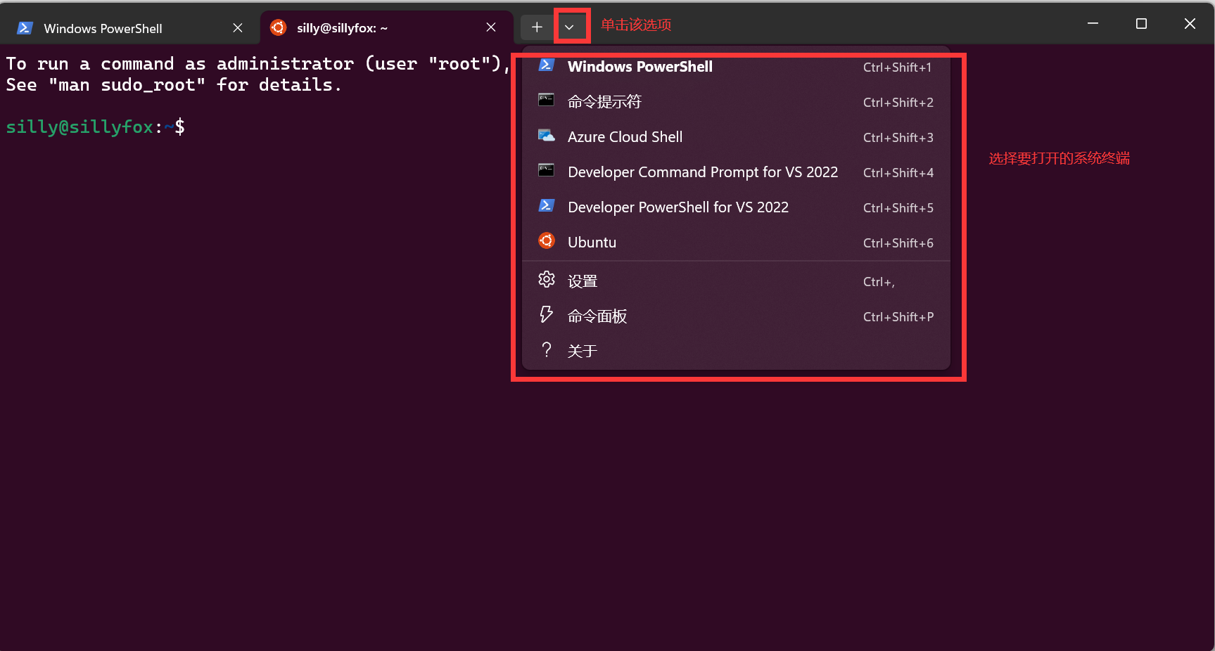 Windows10/11配置WSL(Ubuntu)环境
