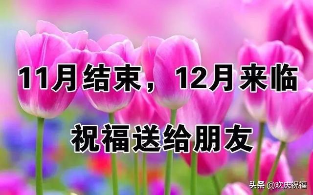 大吉大利的好日子我还要祝愿你11月的结束,12月的开始收到这份祝福的