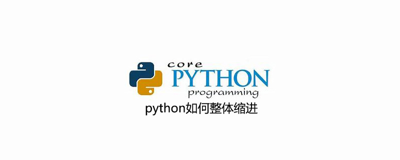 python如何整体<span style='color:red;'>缩</span><span style='color:red;'>进</span>