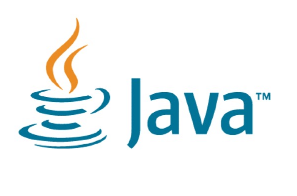 web programming language java