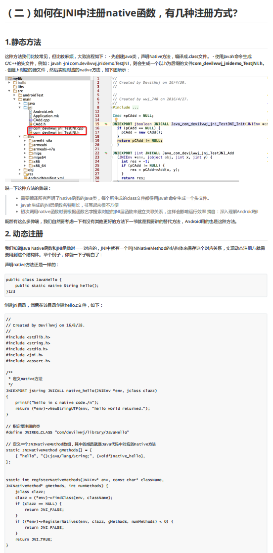 Screenshot of JNI partial analysis content