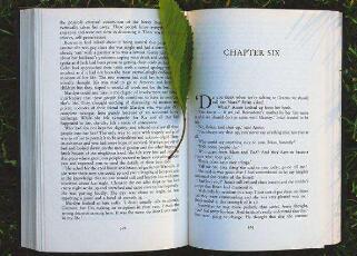 什么是MySQL数据库 MySQL数据库的特点