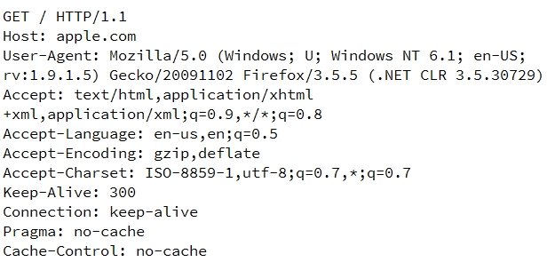 how-do-web-servers-know-if-you-are-using-direct-ip-address-access-or-not-01