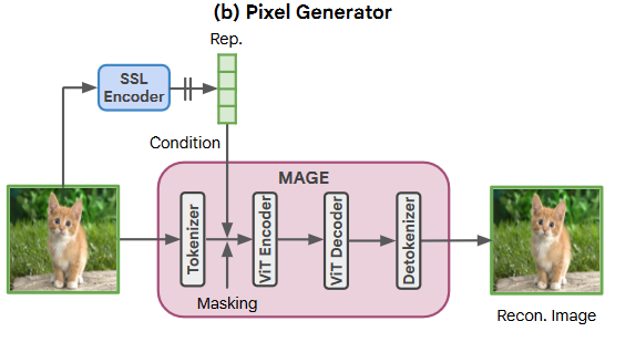 论文阅读：Self-conditioned Image Generation via Generating Representations（RCG）