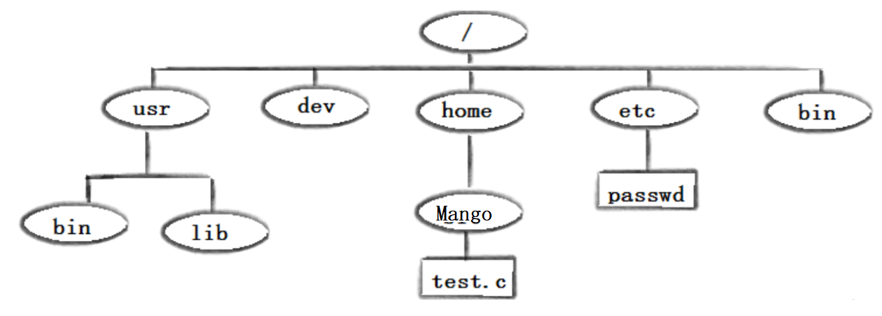 image-20220224204831234