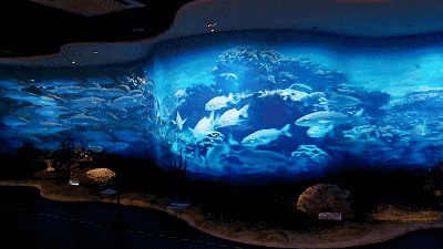 f0150c17e1e8cd37191c594509af85ca.gif