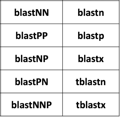 blast原理与使用技巧，最全最详细