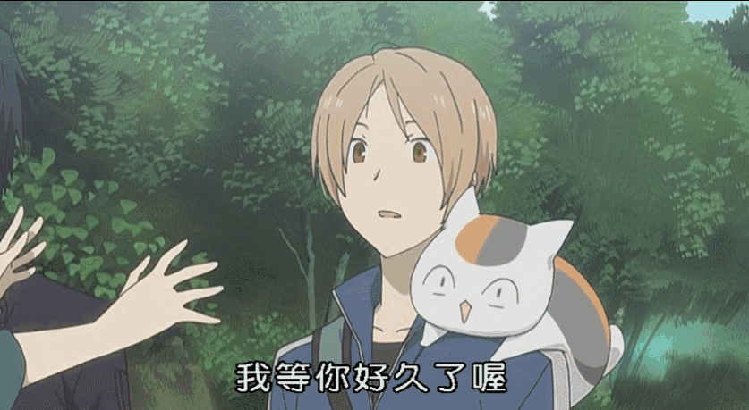 f03993e678bc7961078cf3c104005961.gif