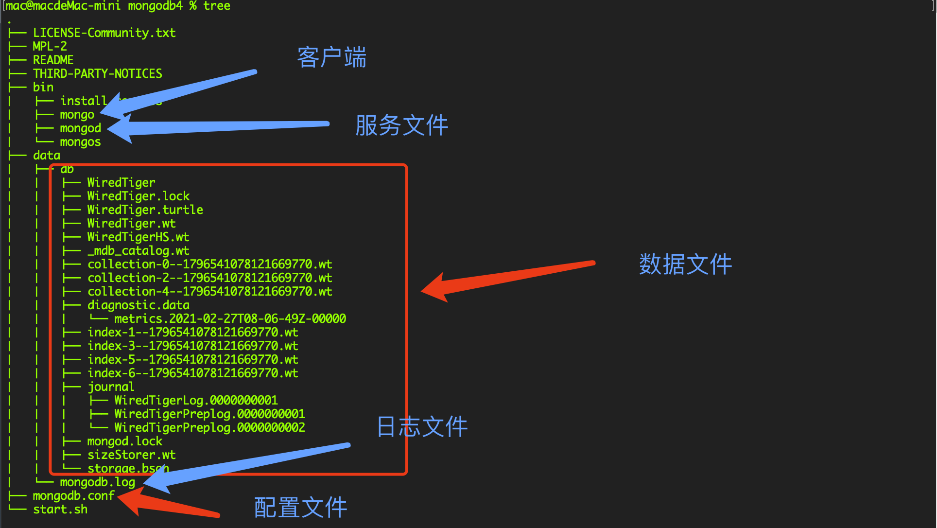 MongoDB之单机环境搭建_enviroment Variable Mongodb-CSDN博客