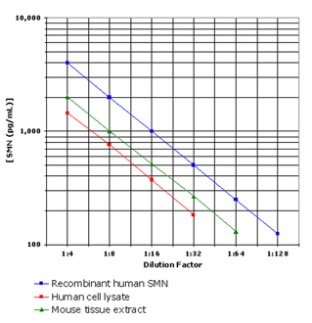 SMN ELISA kit——ENZO热销产品