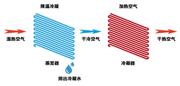 f0d523872ca8f4a82ce5b6c4c86523cd.png