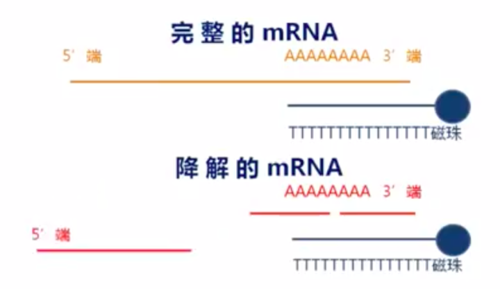 f0d74dd00919ebcdc9a4dc953ab88cf3.png