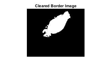 Figure contains an axes. The axes with title Cleared Border Image contains an object of type image.
