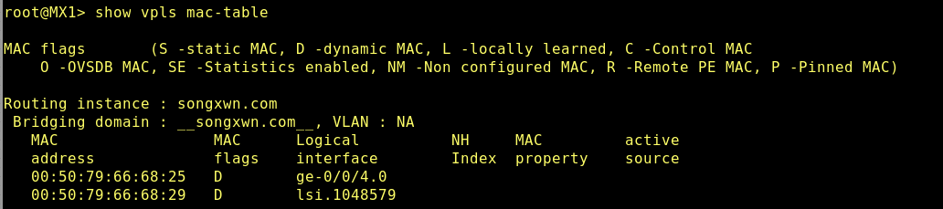 Juniper MX搭建LDP信令的VPLS组网