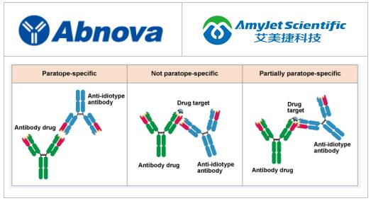 Abnova丨Abnova 抗独特型单克隆抗体的分类和特色