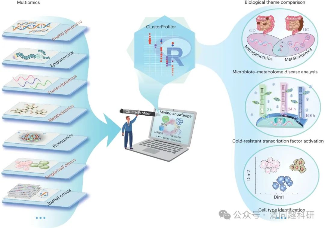 功能分析|clusterProfile包用于宏基因组学和代谢组学等多组学数据中的功能富集分析...-CSDN博客