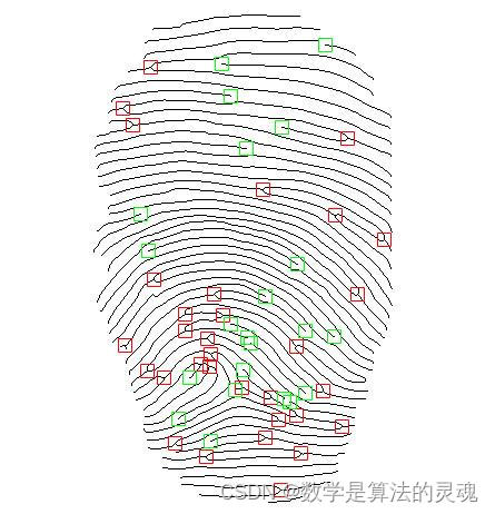 基于matlab的指纹图像处理、脊线增强、脊线分割、脊线细化、细节点检测和细节点验证