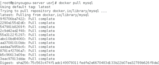 远程连接docker中的mysql容器_docker构建mysql容器及Navicat 远程连接 配图01