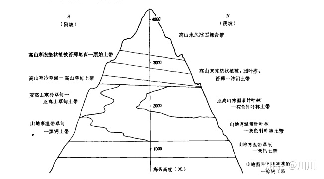 各自然带代表植被_植被垂直带谱？水与热之间的较量。