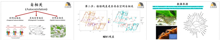 r語言生物群落(生態)數據統計分析與繪圖實踐技術應用-csdn博客