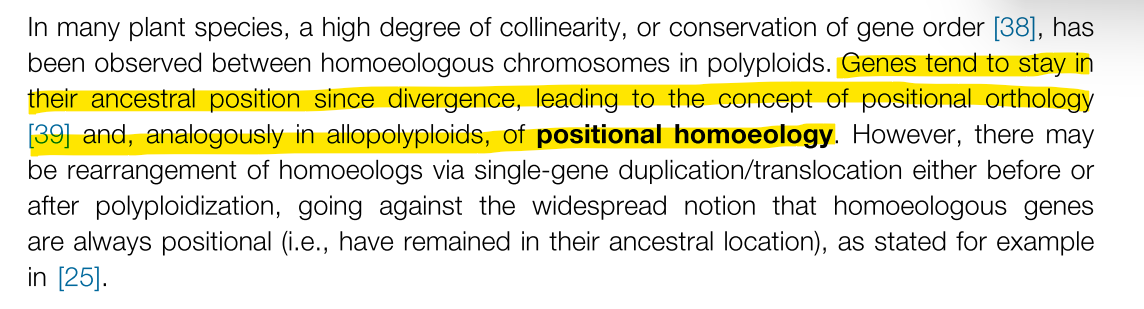 positional homoeology的定义