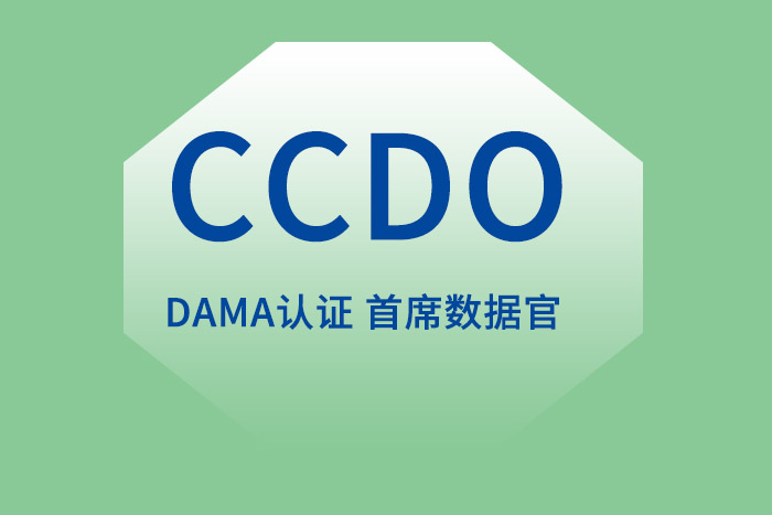 CCDO首席数据官认证：高管必考证书，引领企业数据战略新篇章_CCDO