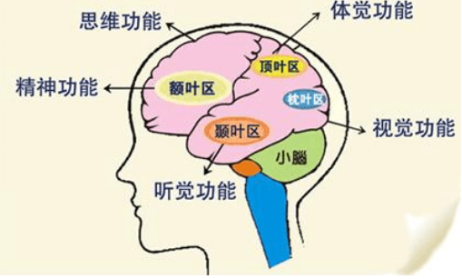 SOM网络算法分析与应用（适合入门、快速上手）