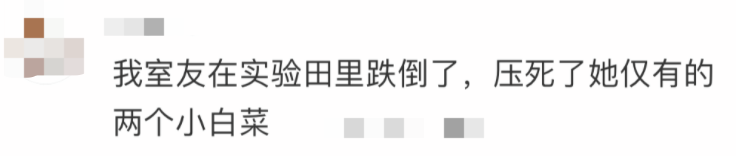 研究生崩溃向导师哭诉：导，你给我的毕业论文被人砍了.._自然语言处理_20