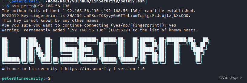 Vulnhub项目：Lin.Security（Linux提权大合集）