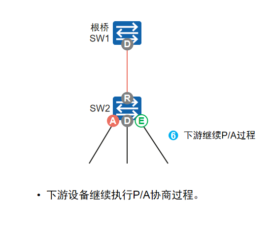 计算机网络-RSTP工作过程与原理