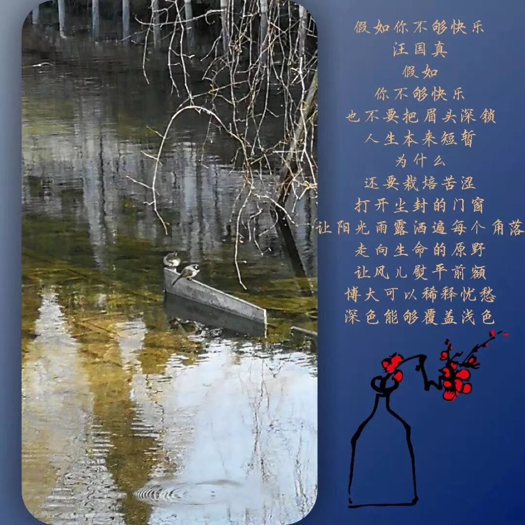 f286e3875faa63d8bafb45e50ae57fce.png