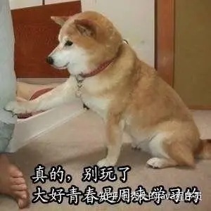 f2bd33031f4eba896b8d8c616476e343.png