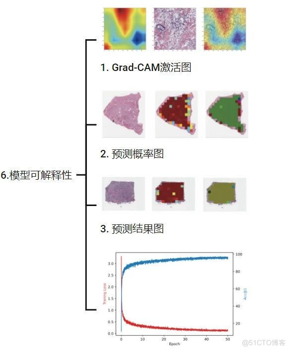 ChatGPT论文润色+工具 直接拿SCI初稿：影像组学人工智能应用培训班_模态_14