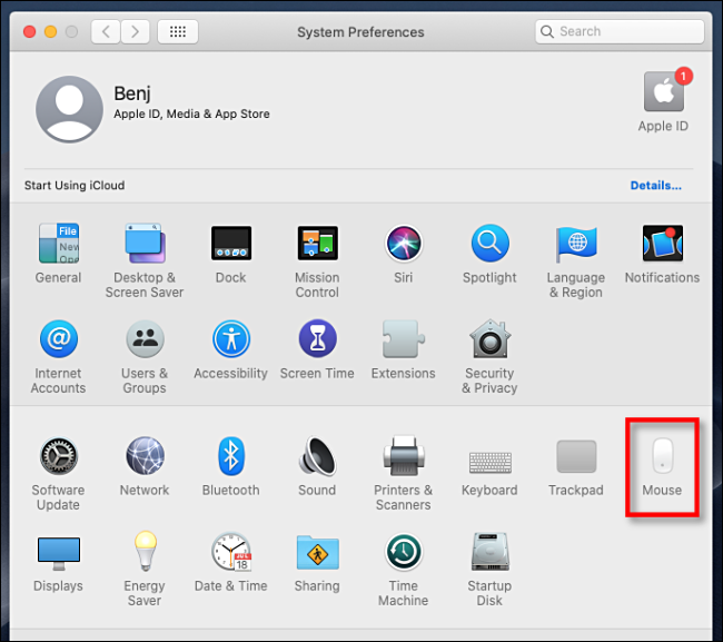 Open System Preferences and Click Mouse