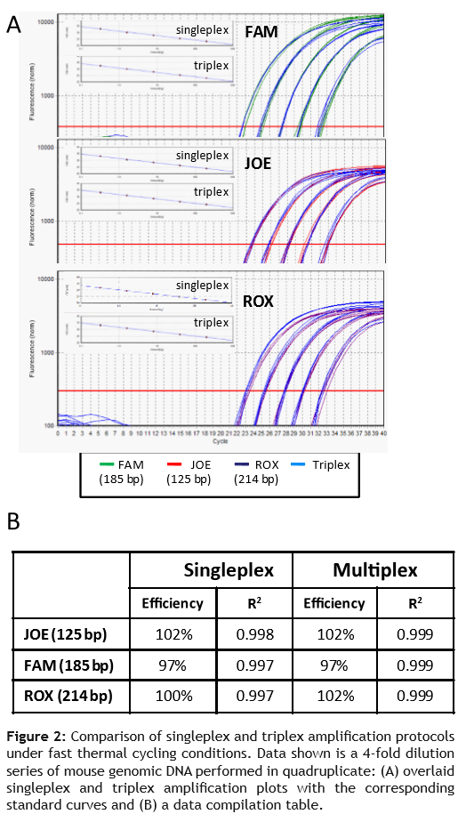 CleanAmp™ dNTP应用：24min完成三重qPCR