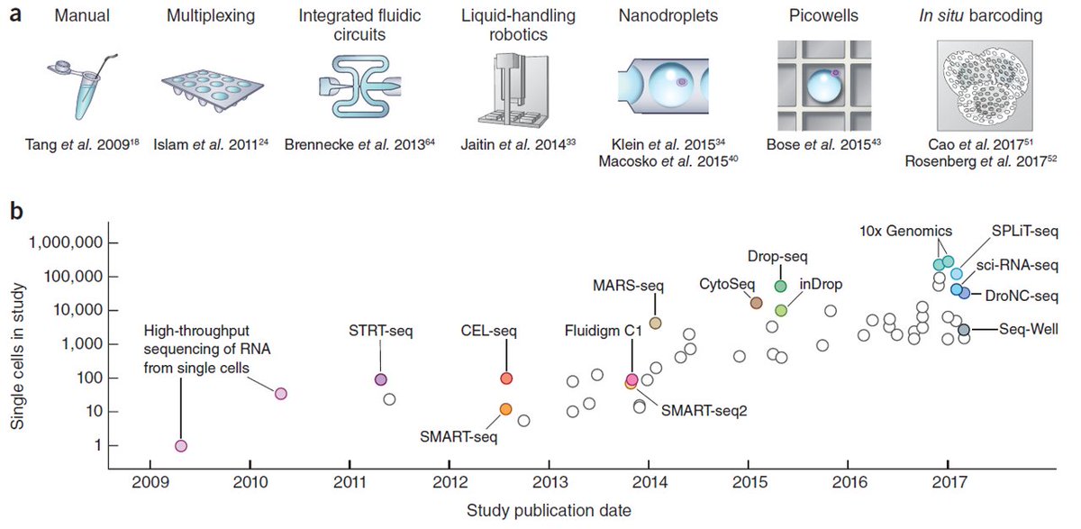 single cell RNA timeline.jpg