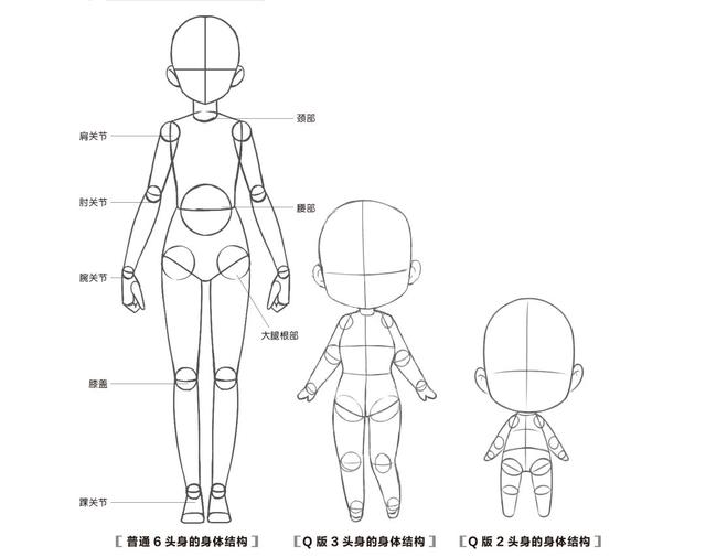 q版人物的身体结构与普通人物几乎没有区别,变化的只是身体各部位的