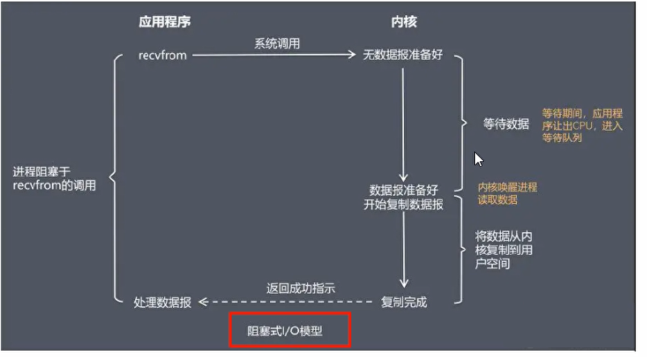 BIO模型