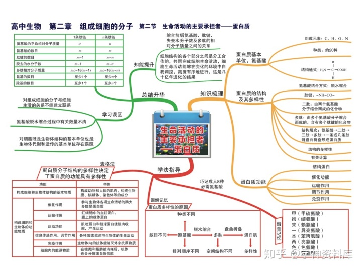 導數與微分的知識點思維導圖高中生物思維導圖知識點總結