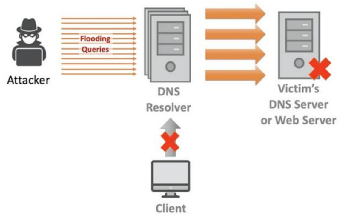 DNS洪水攻击
