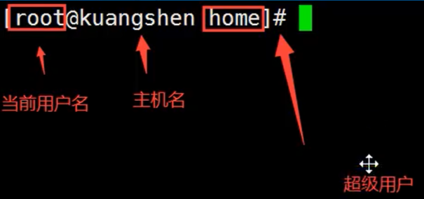 image-20220128024139423