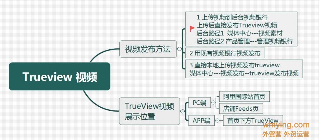 如何玩转阿里巴巴国际站Trueview视频？