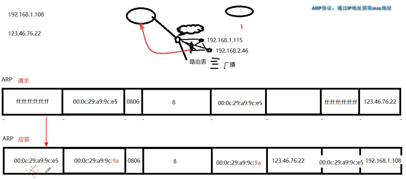 ARP协议