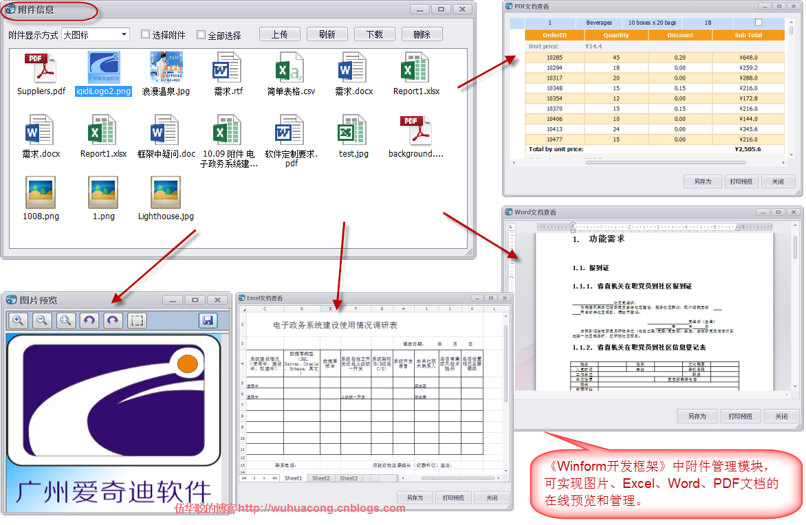 DevExpress Winform界面效果图