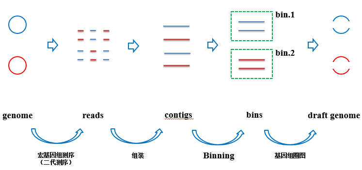 宏基因组分箱 (binning)分析流程,赠送代码和练习数据-csdn博客