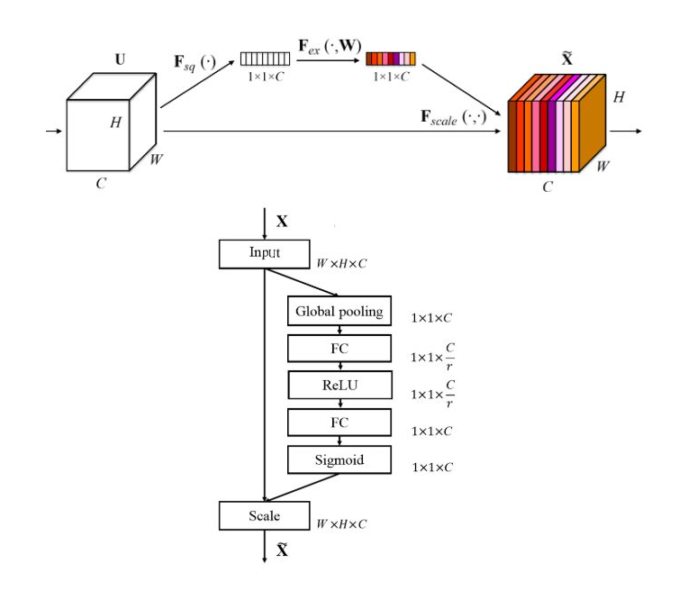 SENet.png