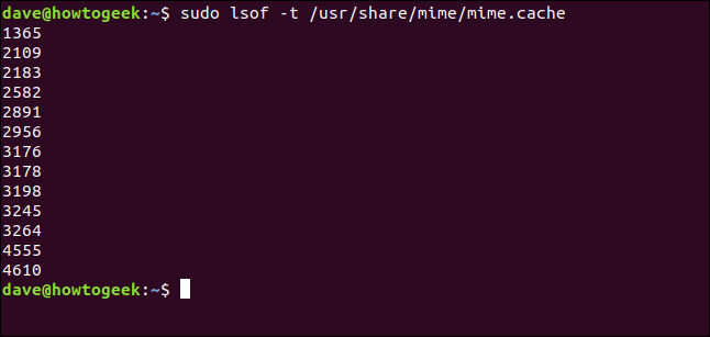 lsof output in a terminal window