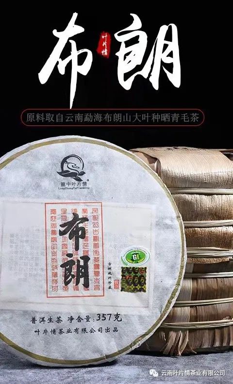 普洱茶知识大全