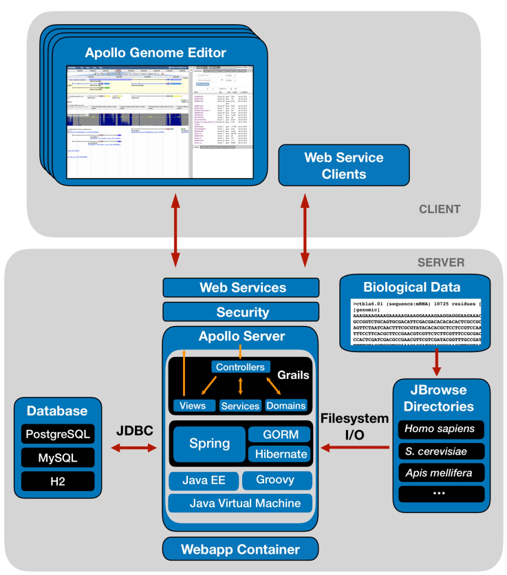 Apollo server. File server architecture.
