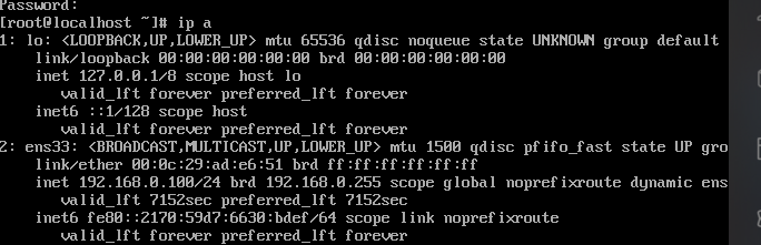 image-20210131165132885